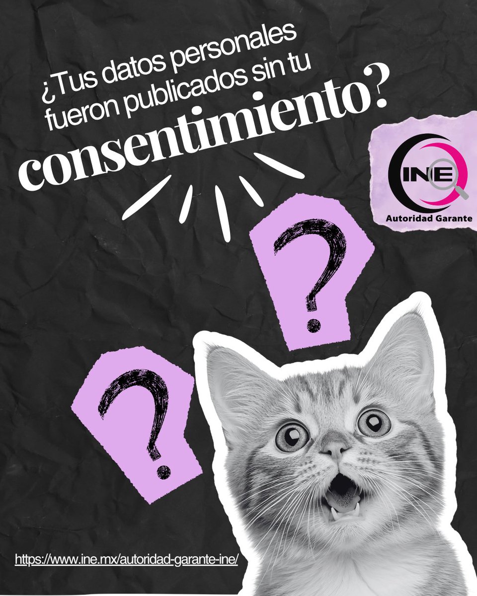AG_INEoficial's tweet photo. #AGOrienta 🔐 ¿Tus datos personales fueron publicados sin tu consentimiento?

Conoce qué puedes hacer y cómo la Autoridad Garante del INE puede orientarte para proteger tus derechos. 💜

Consulta nuestra infografía 👇

#ProtecciónDeDatos #DatosPersonales https://t.co/ajkaNRInjE