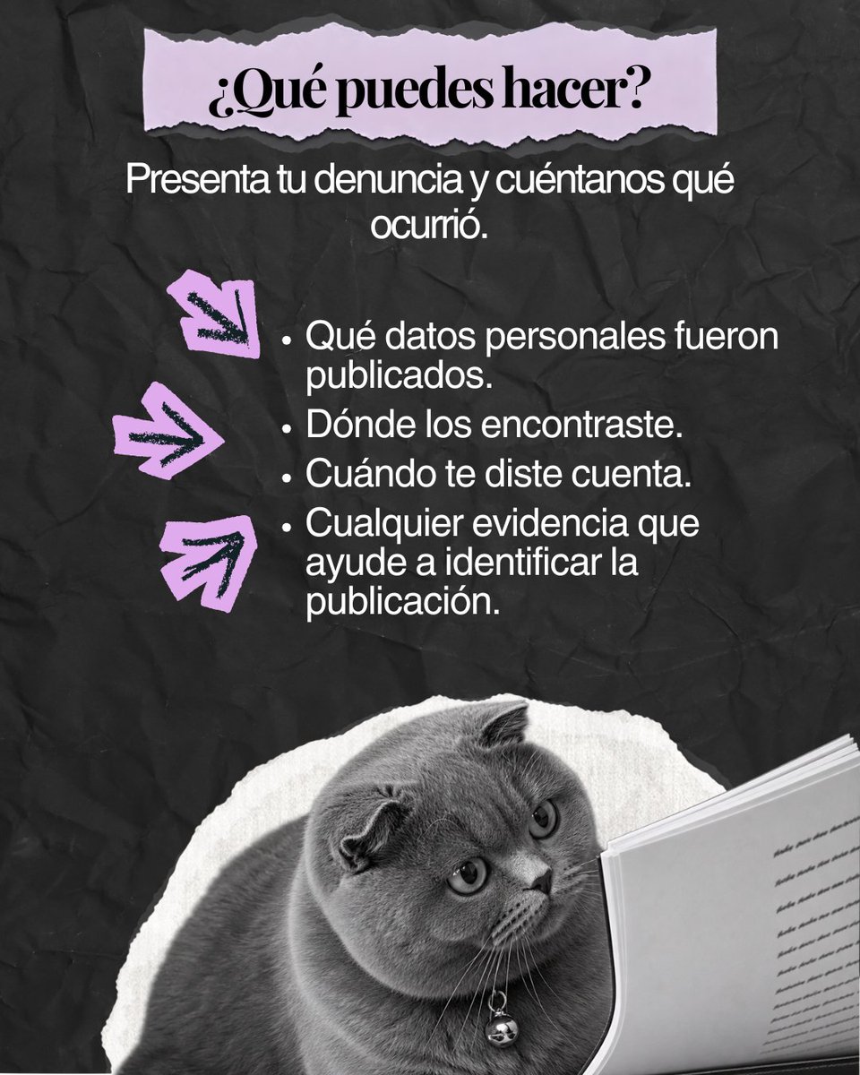 AG_INEoficial's tweet photo. #AGOrienta 🔐 ¿Tus datos personales fueron publicados sin tu consentimiento?

Conoce qué puedes hacer y cómo la Autoridad Garante del INE puede orientarte para proteger tus derechos. 💜

Consulta nuestra infografía 👇

#ProtecciónDeDatos #DatosPersonales https://t.co/ajkaNRInjE