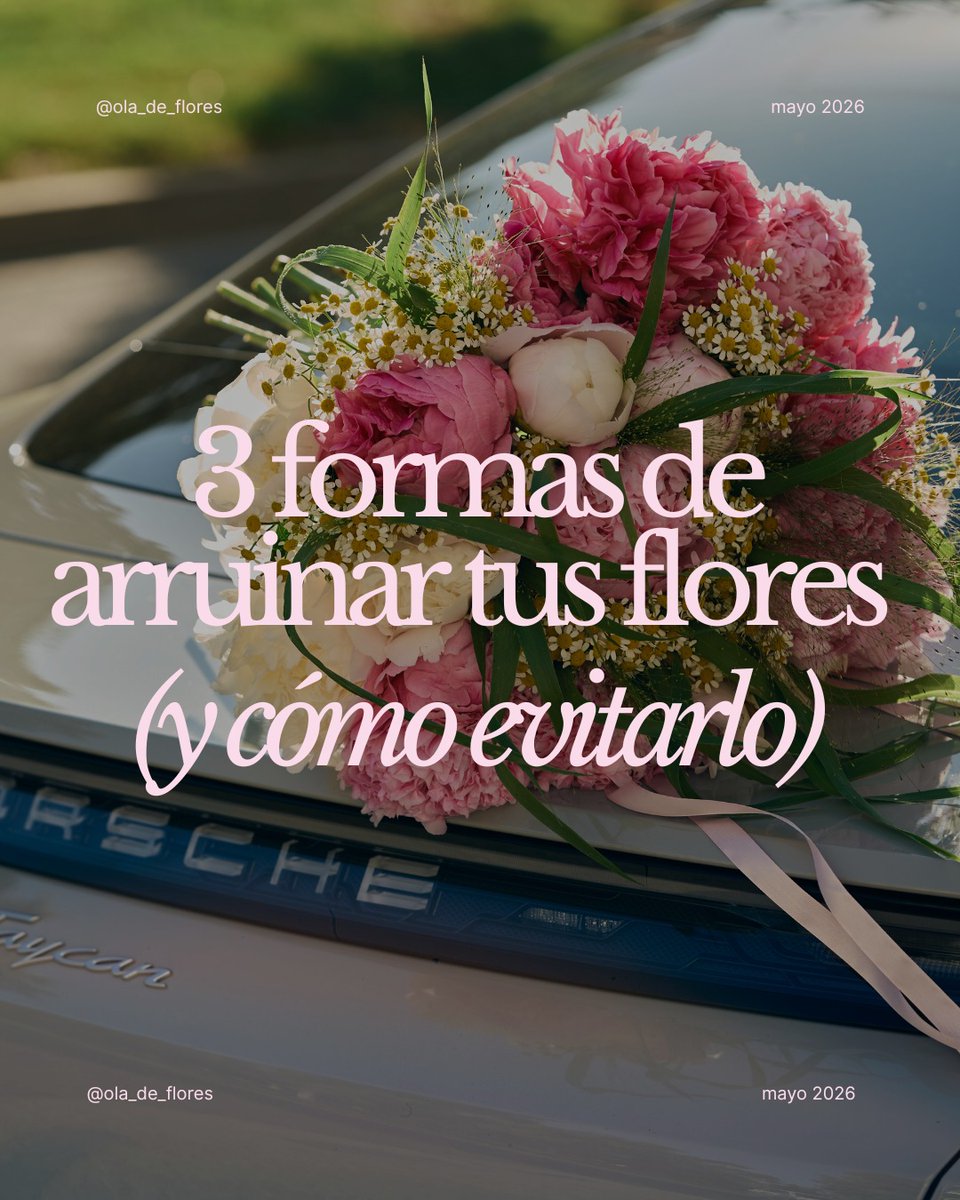 DanielaLove03's tweet photo. Confesión: ¿Cuántas veces has dejado morir un ramo por puro despiste? Un corte en diagonal o la ubicación del jarrón pueden marcar la diferencia. Descubre los errores que arruinan tus flores y cómo solucionarlos hoy. ¿Cuál te ha sorprendido más? https://t.co/1QiG3N2ihg