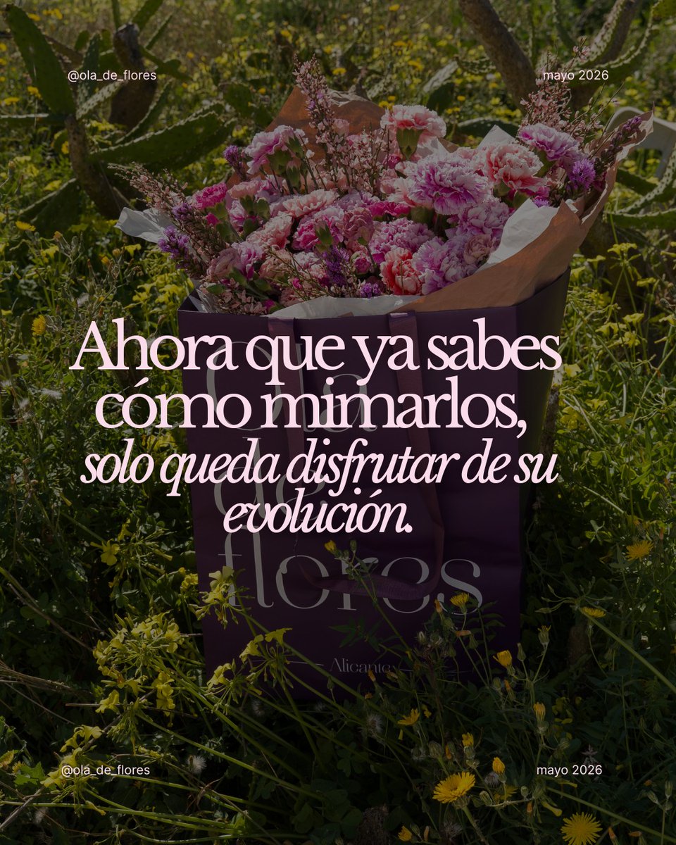 DanielaLove03's tweet photo. Confesión: ¿Cuántas veces has dejado morir un ramo por puro despiste? Un corte en diagonal o la ubicación del jarrón pueden marcar la diferencia. Descubre los errores que arruinan tus flores y cómo solucionarlos hoy. ¿Cuál te ha sorprendido más? https://t.co/1QiG3N2ihg