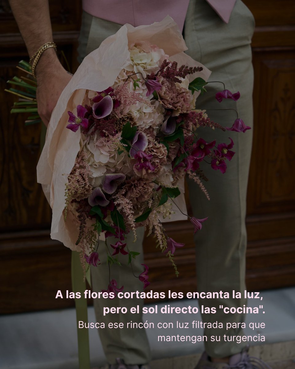 DanielaLove03's tweet photo. Confesión: ¿Cuántas veces has dejado morir un ramo por puro despiste? Un corte en diagonal o la ubicación del jarrón pueden marcar la diferencia. Descubre los errores que arruinan tus flores y cómo solucionarlos hoy. ¿Cuál te ha sorprendido más? https://t.co/1QiG3N2ihg