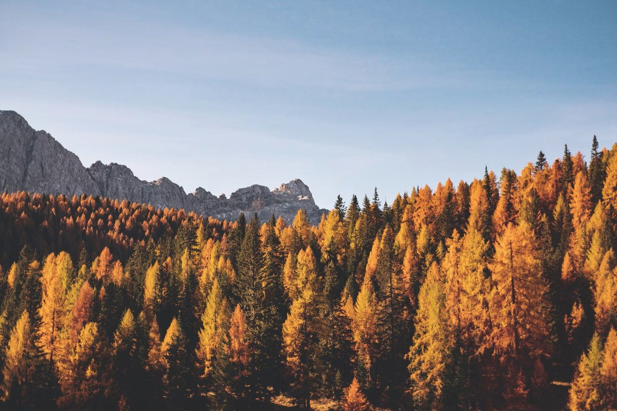 RSGProgram's tweet photo. As we head into fall, wildfire preparedness remains important. 🍂 🔥
Changing seasons can bring dry vegetation, windy conditions, and increased outdoor burning, creating continued wildfire risk in many communities.
#ReadySetGo #WildfirePreparedness #WildlandFire #FireService https://t.co/V1TbXkqSaR