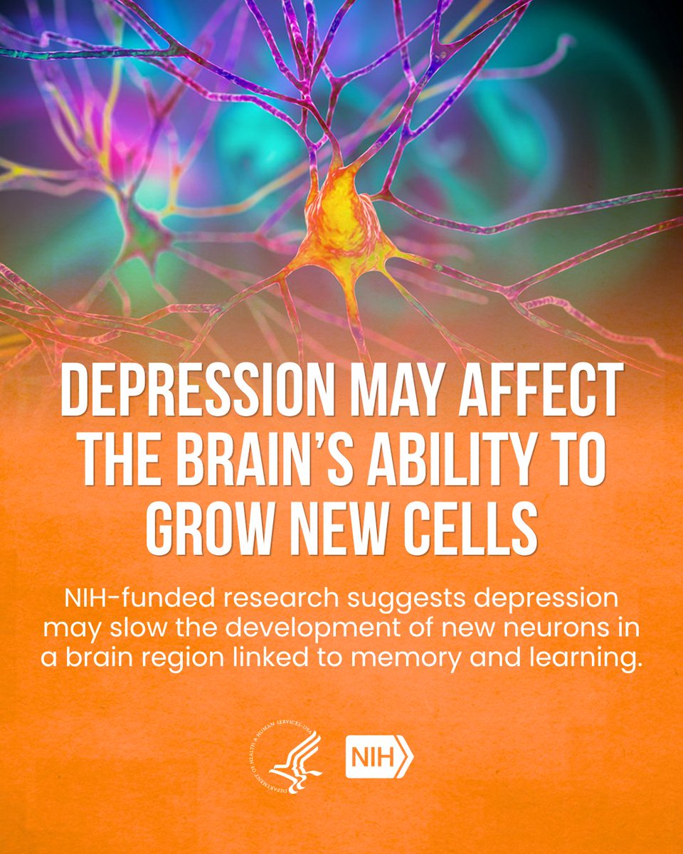 Colorful illustration of neurons with a text overlay: "Depression may affect the brain's ability to grow new cells. NIH-funded research suggests depression may slow the development of new neurons in a brain region linked to memory and learning." Logos for the U.S. Department of Health and Human Services and NIH are at the bottom.