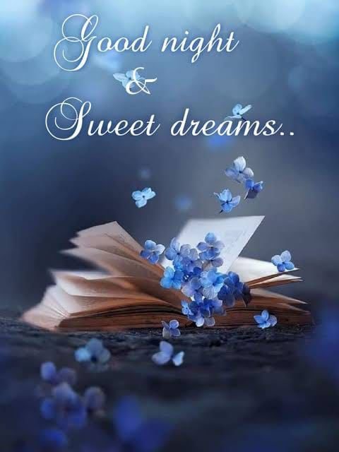 sarahward595's tweet photo. Time to wish everyone good night with restful evening hours - have fun -
Sleep well later, sweet dreams until morning.
#WritingCommunity #fridaynight #eveningtime #weekendishere #goodnight https://t.co/KBs8UoxCmP