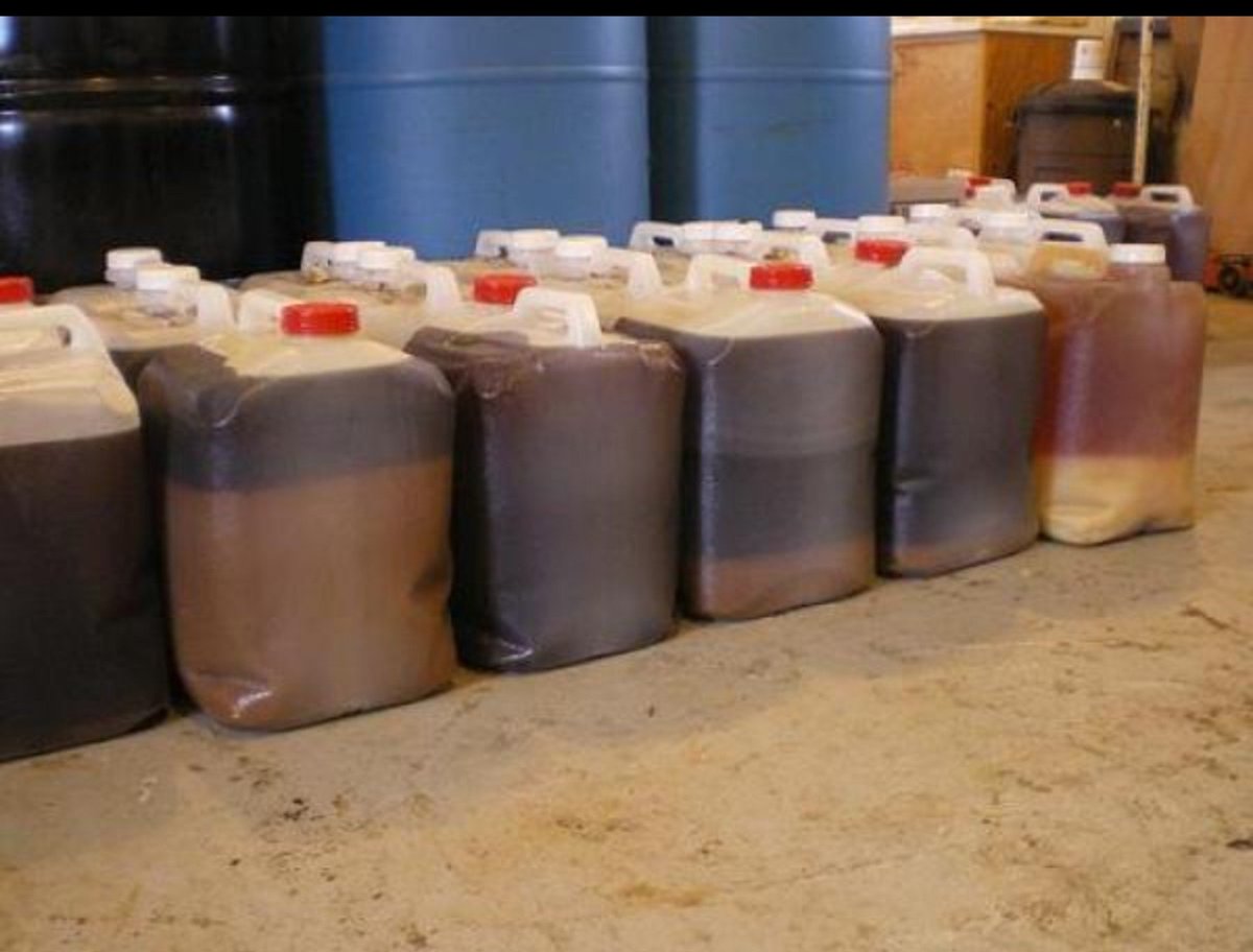 TudorFloribohl's tweet photo. Mă bucur să văd că aproape 50 de tone de uleiuri uzate din Moldova ajung în UE pentru regenerare. ♻️🇲🇩 Nu e doar despre reciclare, ci despre a avea mai multă grijă de mediul în care trăim. Sper să vedem tot mai multe astfel de inițiative.

#Moldova #Reciclare https://t.co/IBQnAhfcZJ