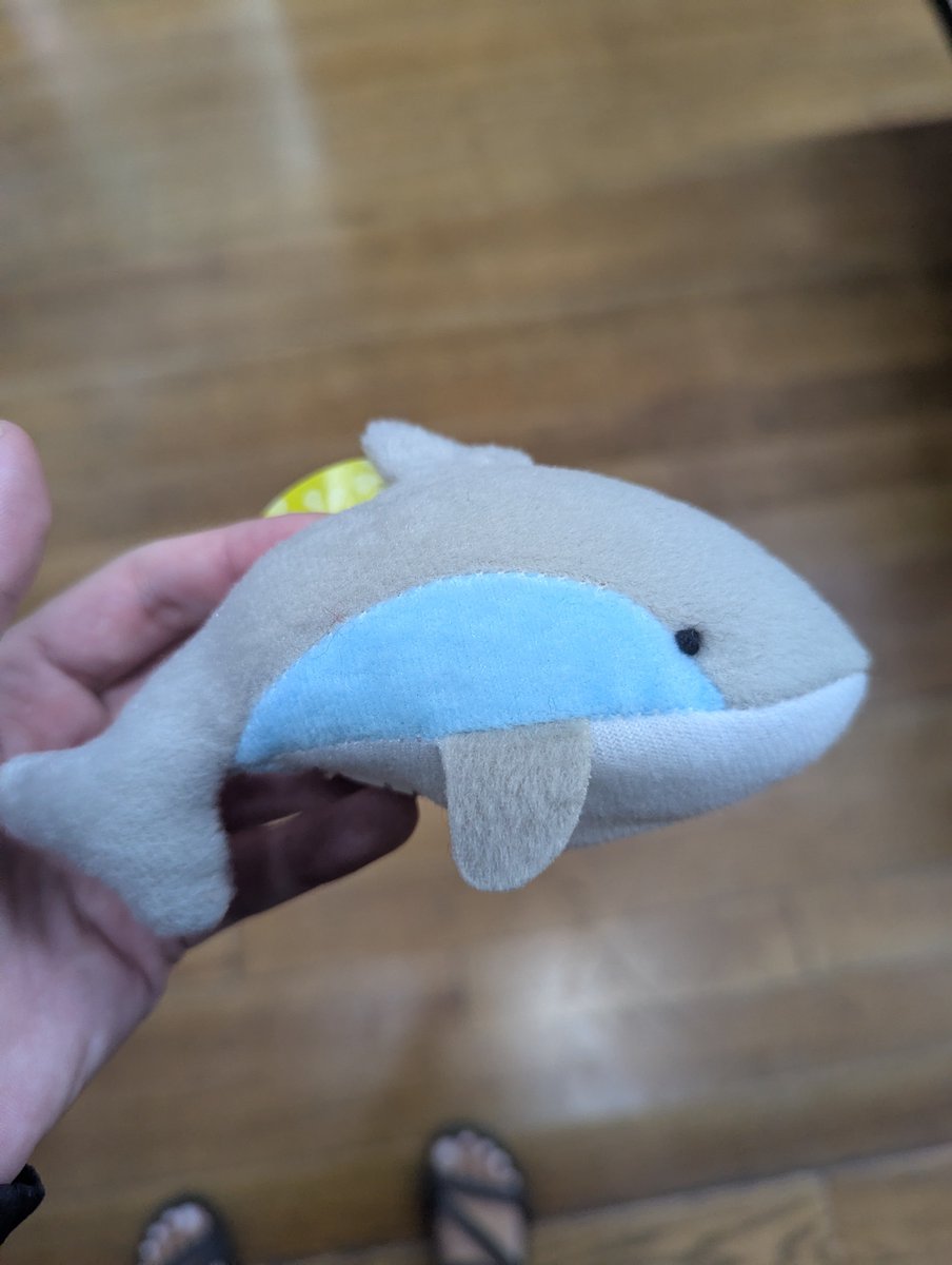 SchmoopNugget's tweet photo. Dolphin or shark? https://t.co/5I5MQffklK
