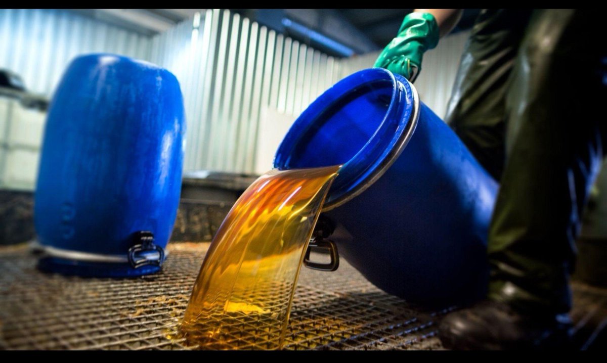 TudorFloribohl's tweet photo. Mă bucur să văd că aproape 50 de tone de uleiuri uzate din Moldova ajung în UE pentru regenerare. ♻️🇲🇩 Nu e doar despre reciclare, ci despre a avea mai multă grijă de mediul în care trăim. Sper să vedem tot mai multe astfel de inițiative.

#Moldova #Reciclare https://t.co/IBQnAhfcZJ