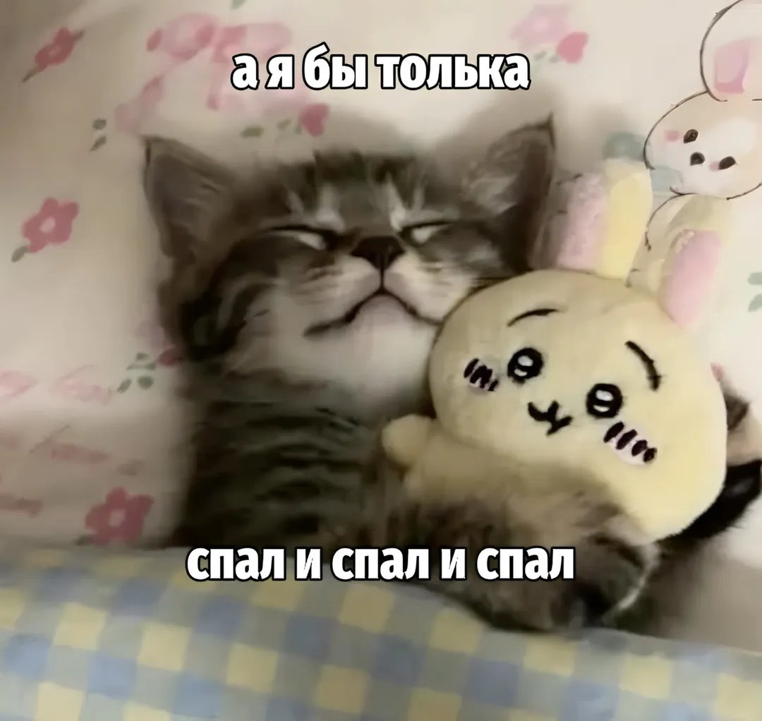 mol1lox's tweet photo. Спокойной ночи. https://t.co/TGjeTeZomd