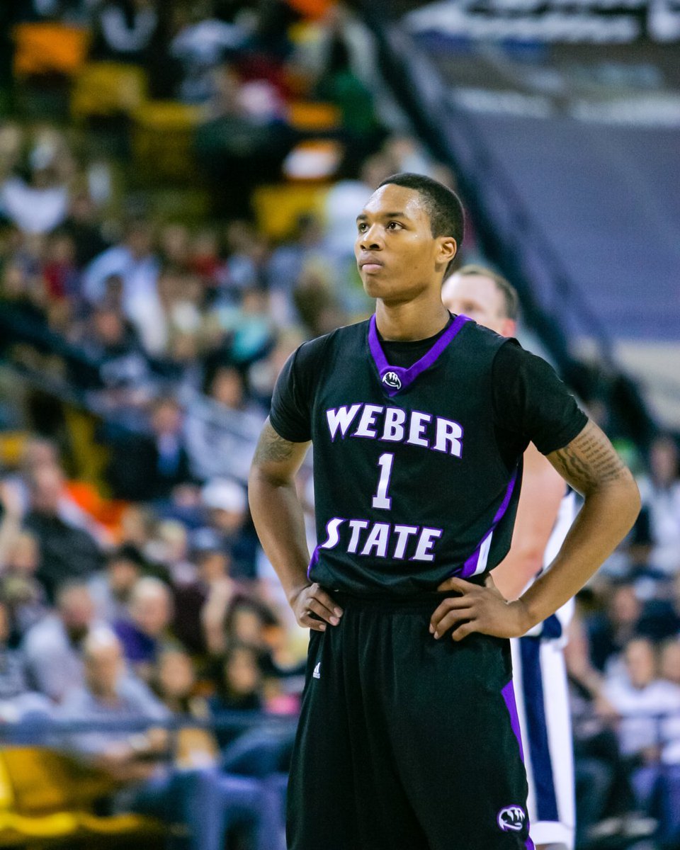 trailblazers's tweet photo. Era revealed. Weber State.

The next chapter of a legacy Made in Dame Time continued in Ogden, Utah. Go Wildcats!

Head to https://t.co/f7MWceUI3f for your chance to win a Damian Lillard autographed Weber State jersey. https://t.co/csPuIn7ax8