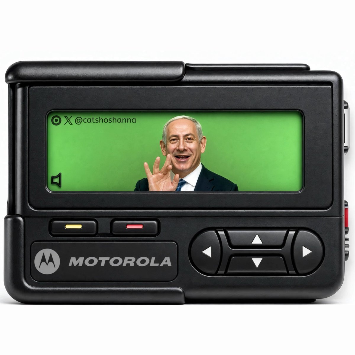 CatShoshanna's tweet photo. Beepi Netanyahu https://t.co/o40S2Q8auJ