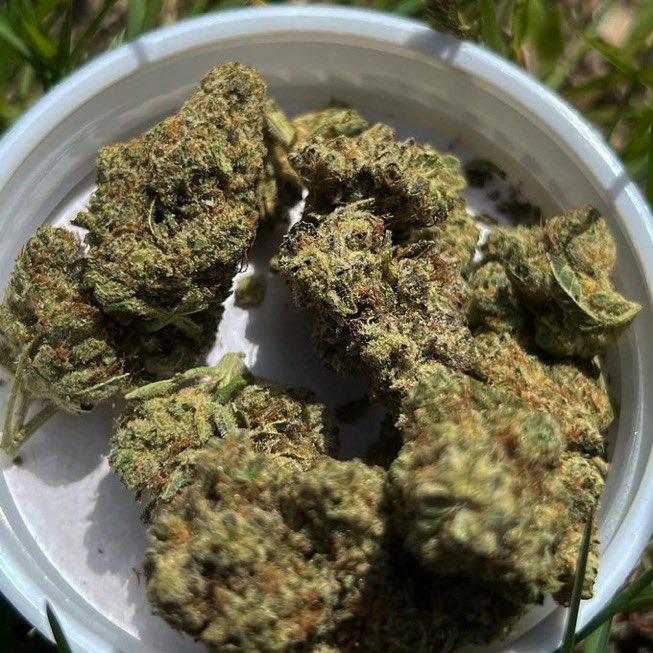 CloudKings5's tweet photo. Tap in 📲⛽️ weed İzmir weed Çeşme weed Aliağa weed Bergama weed Foça weed Menemen weed Torbalı weed Ödemiş weed Tire weed Selçuk weed Seferihisar weed Urla weed Dikili weed Karaburun weed Kemalpaşa https://t.co/uWiMwZ1ESo