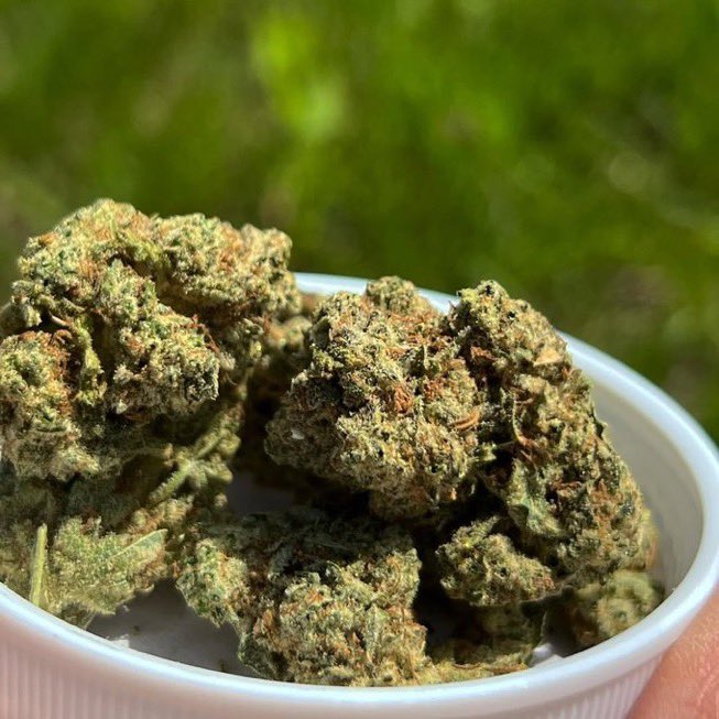 CloudKings5's tweet photo. Tap in 📲⛽️ weed İzmir weed Çeşme weed Aliağa weed Bergama weed Foça weed Menemen weed Torbalı weed Ödemiş weed Tire weed Selçuk weed Seferihisar weed Urla weed Dikili weed Karaburun weed Kemalpaşa https://t.co/uWiMwZ1ESo