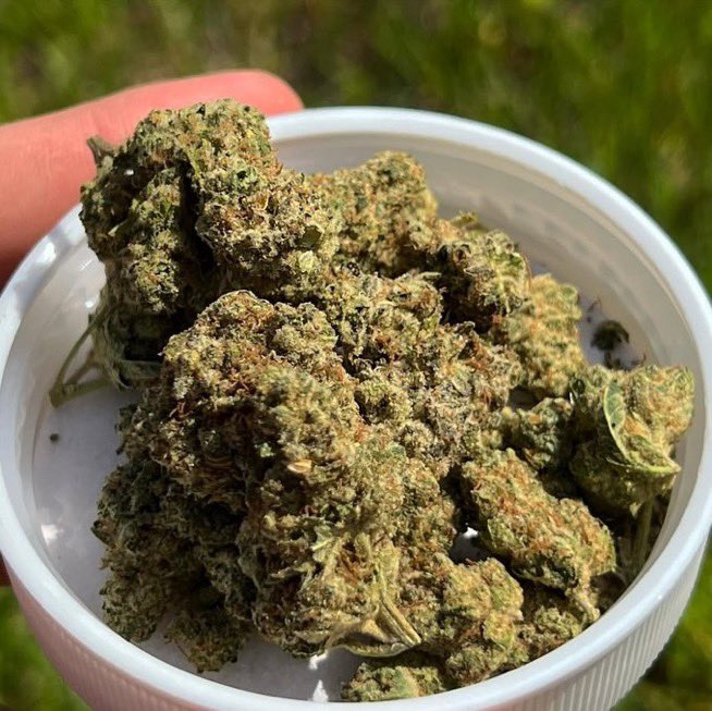 CloudKings5's tweet photo. Tap in 📲⛽️ weed İzmir weed Çeşme weed Aliağa weed Bergama weed Foça weed Menemen weed Torbalı weed Ödemiş weed Tire weed Selçuk weed Seferihisar weed Urla weed Dikili weed Karaburun weed Kemalpaşa https://t.co/uWiMwZ1ESo