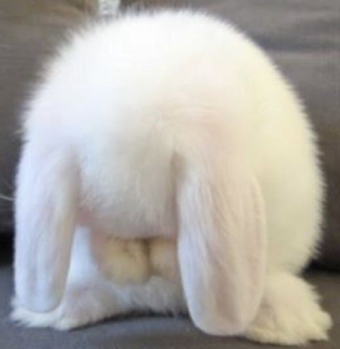 cautionbun's tweet photo. me cause i got a shot today https://t.co/LC2Y1oYfMK