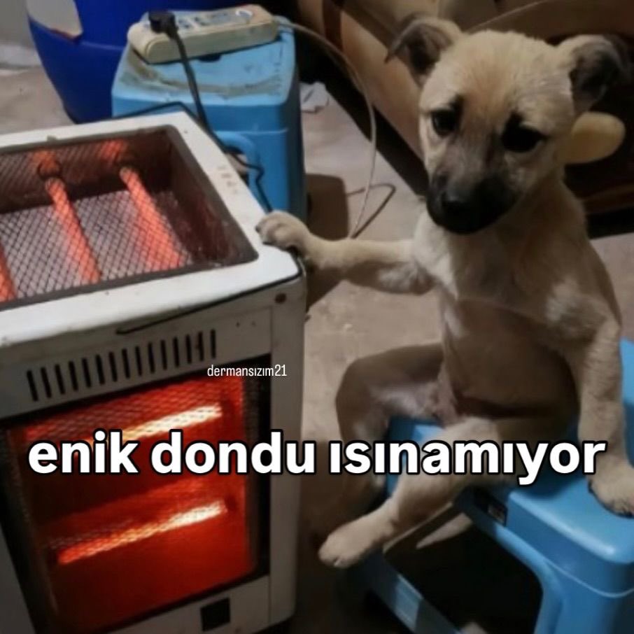 themeediumplace's tweet photo. havalar bir anda sogudugu icin bizdir https://t.co/grFS3kWHDv