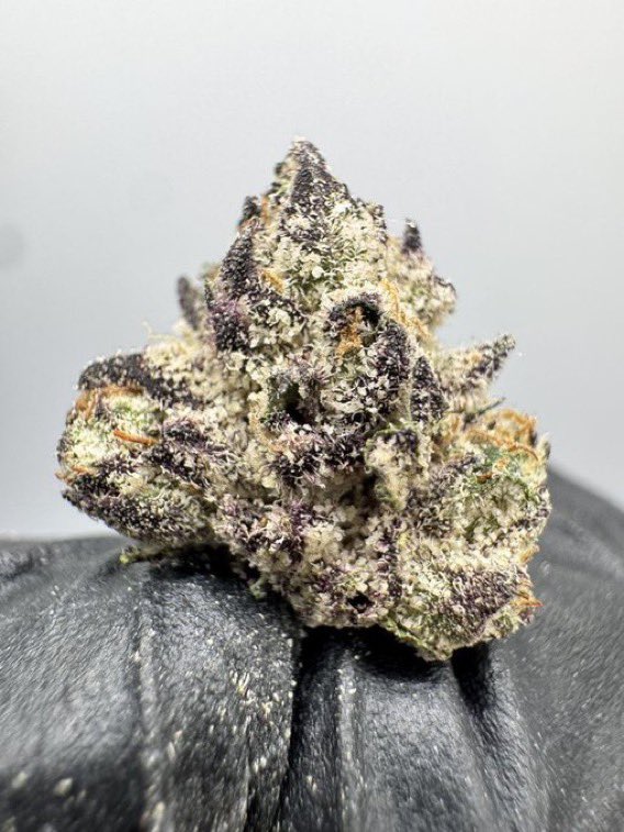 CloudKings5's tweet photo. Exclusive 🚨💨 weed Telavi weed Gurjaani weed Kvareli weed Sagarejo weed Lagodekhi weed Akhmeta weed Dedoplistskaro weed Sighnaghi weed Tsinandali weed Kardenakhi weed Vazisubani weed Napareuli weed Tibaani weed Nukriani weed Badiauri https://t.co/SnCC4moSaW