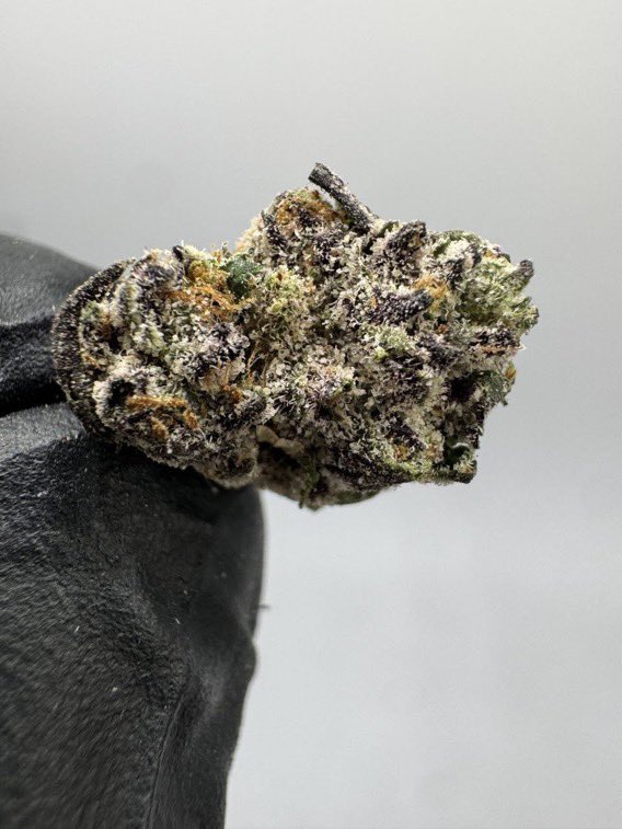 CloudKings5's tweet photo. Exclusive 🚨💨 weed Telavi weed Gurjaani weed Kvareli weed Sagarejo weed Lagodekhi weed Akhmeta weed Dedoplistskaro weed Sighnaghi weed Tsinandali weed Kardenakhi weed Vazisubani weed Napareuli weed Tibaani weed Nukriani weed Badiauri https://t.co/SnCC4moSaW