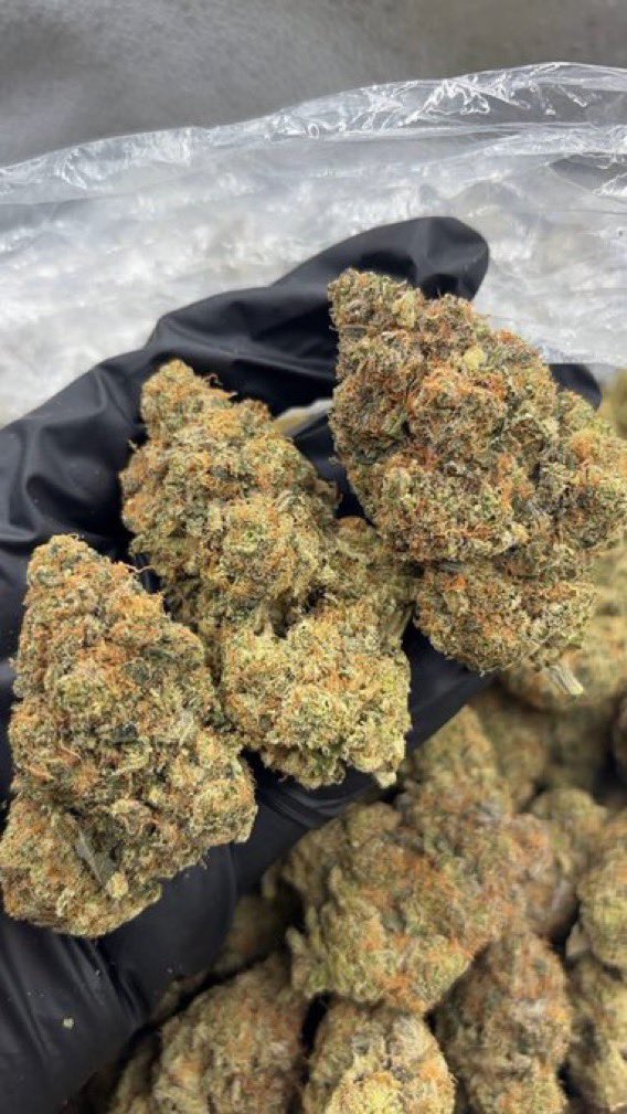CloudKings5's tweet photo. Tap in 📲⛽️ weed Al Ahmadi weed Fahaheel weed Mahboula weed Mangaf weed Abu Halifa weed Al Fintas weed Al Egaila weed Al Riqqa weed Hadiya weed Jaber Al Ali weed Sabah Al Ahmad weed Wafra weed Mina Abdullah weed Al Zour weed Ali Sabah Al Salem https://t.co/tDfBOKBqmn