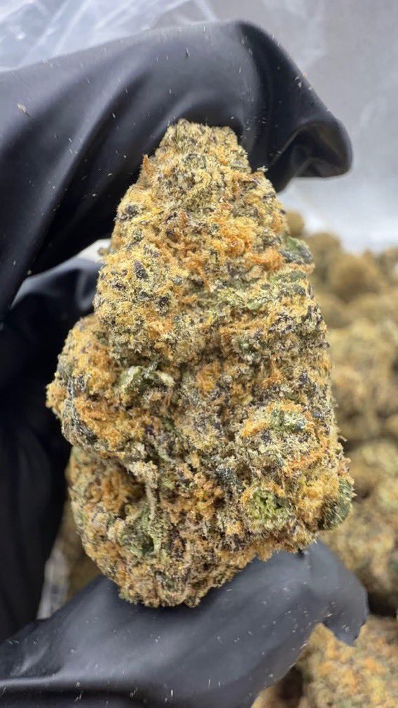 CloudKings5's tweet photo. Tap in 📲⛽️ weed Al Ahmadi weed Fahaheel weed Mahboula weed Mangaf weed Abu Halifa weed Al Fintas weed Al Egaila weed Al Riqqa weed Hadiya weed Jaber Al Ali weed Sabah Al Ahmad weed Wafra weed Mina Abdullah weed Al Zour weed Ali Sabah Al Salem https://t.co/tDfBOKBqmn