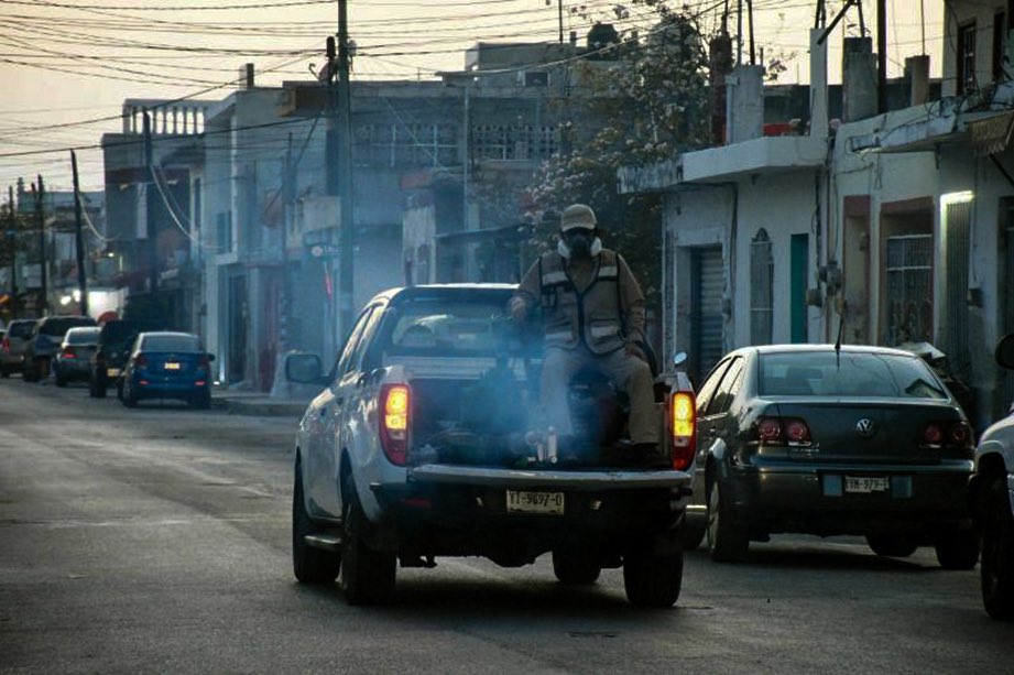 SoldeYucatan's tweet photo. MILLONARIO NEGOCIO DEL MOSQUITO
SSY compró 21 camionetas por 10.07 millones de pesos para combatir dengue, zika y chikungunya.
Meses después, contrató a una empresa privada por hasta 115 millones para aplicar insecticida. #Yucatán #SSY https://t.co/yIwqaJZxdv