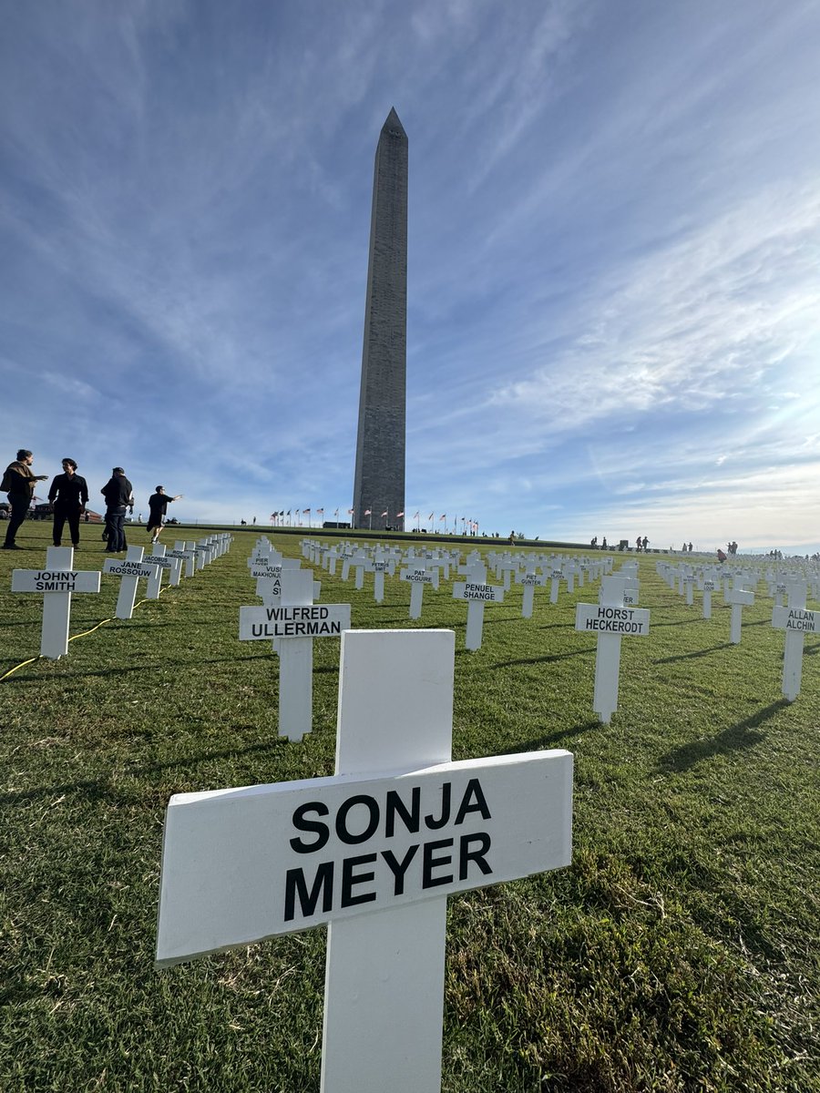 IuliaL27's tweet photo. “It’s not happening” 

3,000 White Crosses on the National Mall say otherwise https://t.co/sAJzr7D7vI