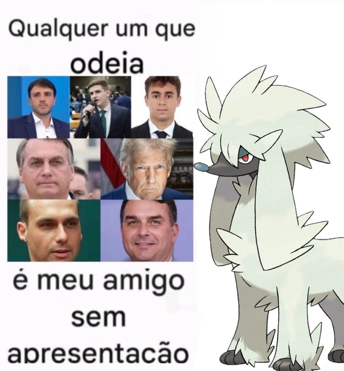 AcervoFurfrouu's tweet photo. https://t.co/jTBtnb18tq