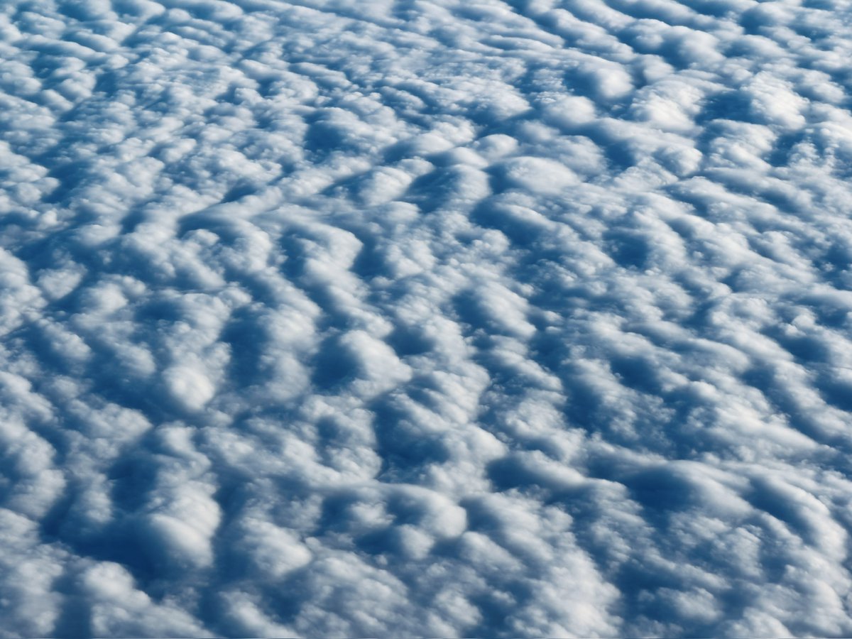 aidenanderson's tweet photo. ☁️☁️☁️ https://t.co/Oz1V3uaJHY