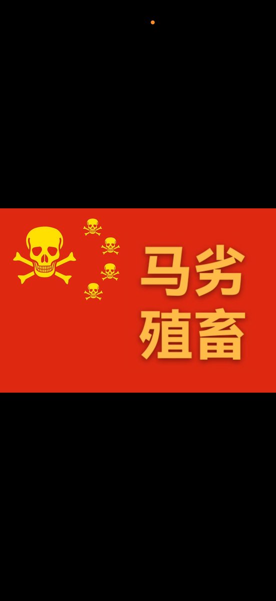 Jackcen188's tweet photo. @rosyharufuminor @nicolea53332873 @zhao_dashuai 母畜杂种四物种混血啊：鱿、俄、日、中华田园犬，四物种杂交，四不像！ https://t.co/eylWYob9aw