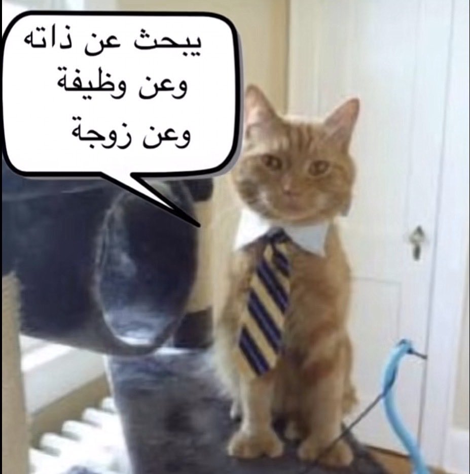 i7lion's tweet photo. انا والبايو حقي https://t.co/CnLEfU7l7y