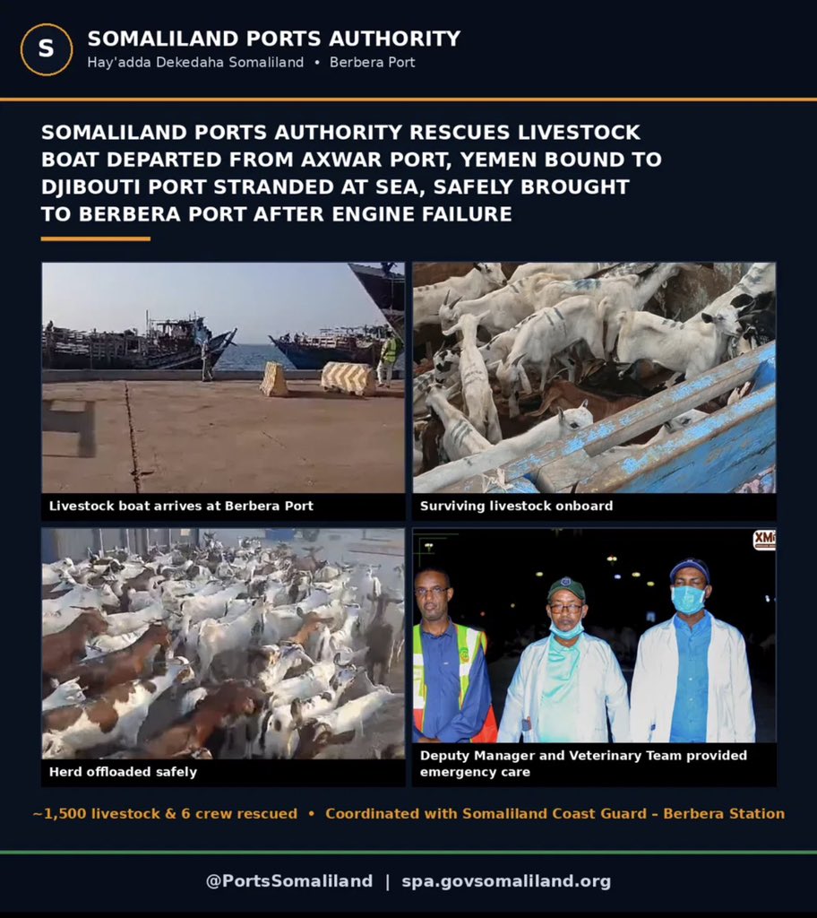 PortsSomaliland's tweet photo. SOMALILAND PORTS AUTHORITY PROVIDED RESCUE TO A LIVESTOCK BOAT DEPARTED FROM AXWAR PORT IN YEMEN AND HEADING TO DJIBOUTI PORT

The #Somaliland Ports Authority (SPA), in coordination with the Somaliland Coast Guard – Berbera Station, successfully rescued a livestock boat sealed from Axwar Port, #Yemen, to #Djibouti Port.

The boat departed Axwar Port on 19 September 2026, carrying approximately 1,500 heads of livestock and six crew members. On 20 September 2026, the boat suffered an engine failure and remained stranded at sea for approximately five days, during which around 220 livestock died.

The boat eventually drifted into waters off on the sea eastern Somaliland, in the direction of Gambaxo Village. Following the emergency, the SPA and the Somaliland Coast Guard’s Berbera Station carried out a coordinated rescue operation and brought the boat and its six crew members safely to Berbera Port.

Upon arrival, the SPA, in coordination with veterinary doctors from the Ministry of Livestock and Rural Development at Berbera Port, provided immediate assistance and veterinary care to the surviving livestock and SPA Port Health Unity provided medical support to the crew.

After the surviving livestock have had time to rest, they will be transferred to another boat that is ready to take them to their destination port , Djibouti Port.

The Government of Somaliland remains firmly committed to providing humanitarian assistance and emergency maritime support whenever such situations arise, particularly to vessels and boats carrying various types of cargo that transit along Somaliland’s coastline or through international waters in the vicinity of the maritime boundaries of the Republic of Somaliland.  

Somaliland will continue to cooperate with relevant emergency Units and international partners to safeguard human life, protect cargo, and promote safety and security at sea.
