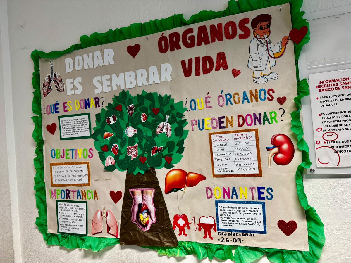 IssstesonGob's tweet photo. ℹ️ Estudiantes de la salud 🩺 que realizan su servicio social en el Centro Médico "Dr. Ignacio Chávez" de #ISSSTESON ✅ participan en la promoción por el Día Nacional de la Donación y Trasplante de Órganos y Tejidos 🫀🫁 con carteles y material realizado por ellos mismos. https://t.co/EvS961fbO0