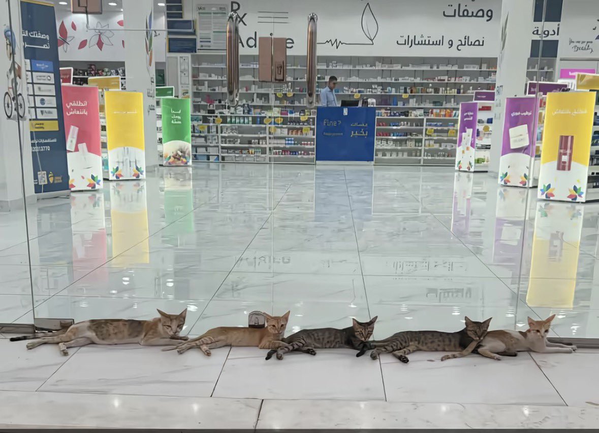 v_i5ss's tweet photo. الحرس الملكي للصيدلية https://t.co/qnsOySMVBh