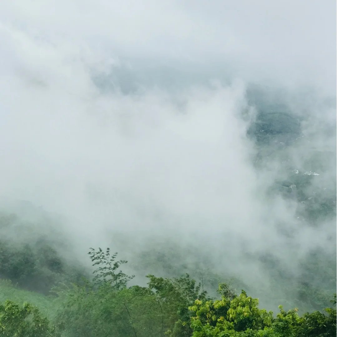 JayKammes's tweet photo. പ്ലാൻ ചെയ്ത യാത്രകൾ പ്രതീക്ഷിച്ച അനുഭവങ്ങൾ മാത്രം നൽകും. എന്നാൽ പ്ലാൻ ചെയ്യാതെയുള്ള യാത്രകൾ പ്രതീക്ഷിക്കാത്ത, വ്യത്യസ്തമായ ഒട്ടേറെ അനുഭവങ്ങൾ സമ്മാനിക്കും. https://t.co/IYdIwQUoNt