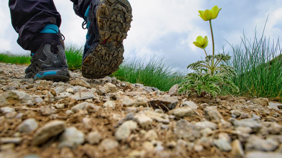 NCChron's tweet photo. Carlsbad seeks trail volunteers for National Public Lands Day
🔗 https://t.co/yRjeHkrTD8

#NorthCountyChronicle #NorthCounty #SanMarcos #Vista #Oceanside #Carlsbad #Escondido https://t.co/b0snTvJgsy