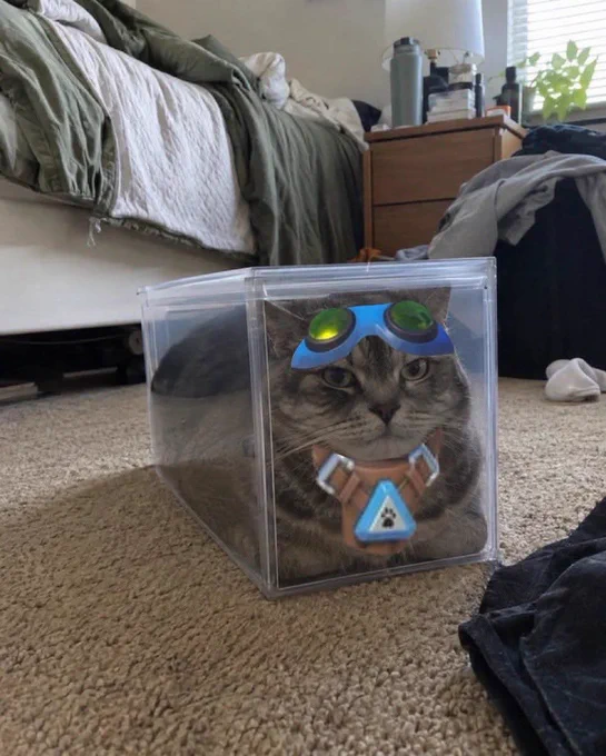 Image from Curioverwatch No-Official Page (@DoIssDam)