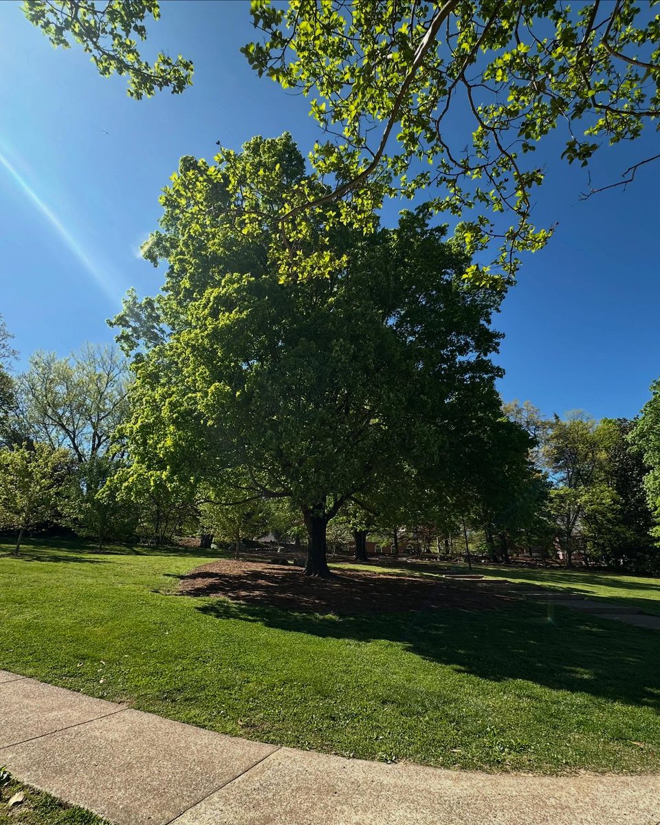 WallaceStegkd's tweet photo. What a beautiful afternoon for our volunteers’ pageant walk-through. In just a few days, campus will transform into a walking tour of Jesus’ final hours. Spoiler alert: it has a very happy ending. https://t.co/eqRQITv7WB