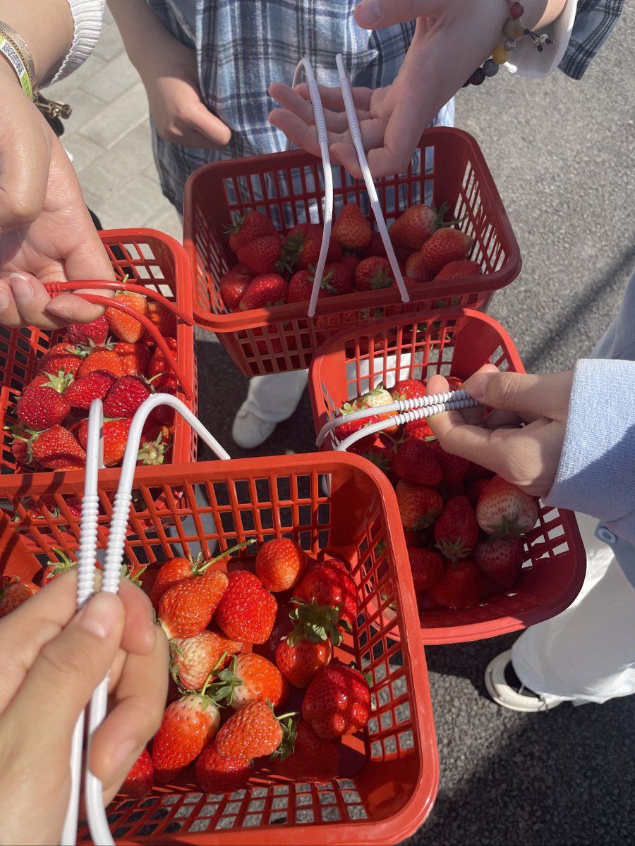 JungParraldon's tweet photo. Held my hand at the supermarket checkout, he secretly put my favorite strawberry candy into the cart—today’s tiny sweet is all because of him. https://t.co/rKYtVVu3Ge