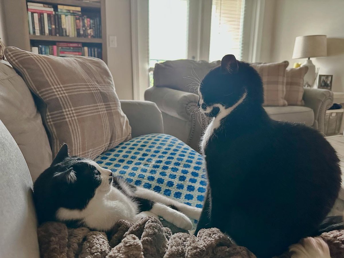 WallaceStegkd's tweet photo. There’s a silent conversation happening here… https://t.co/Txzn2foQTi