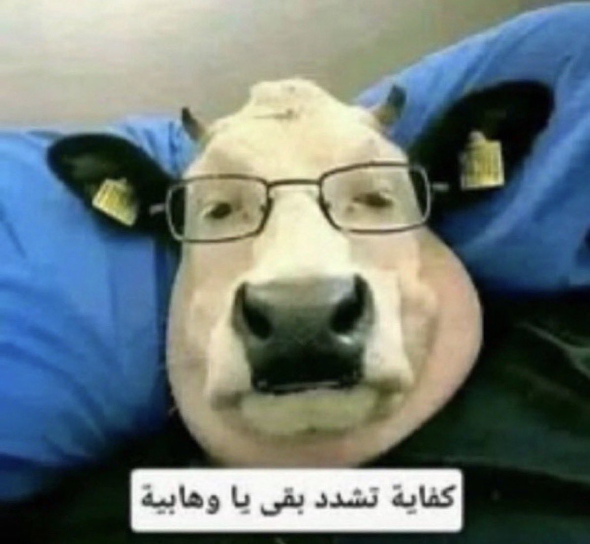 Fisalw09's tweet photo. @sameh_asker https://t.co/vD6WJ8FEOR
