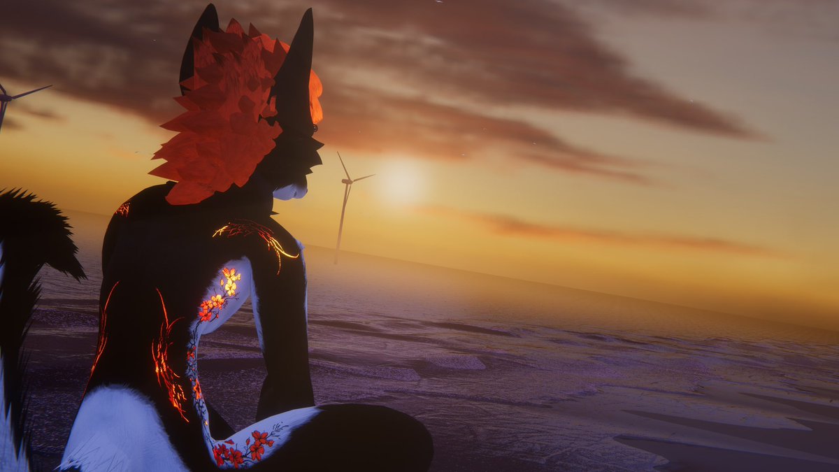 unkown_mutt's tweet photo. Sunset skiesssss🧡🐾 https://t.co/vTGi6iMiqA