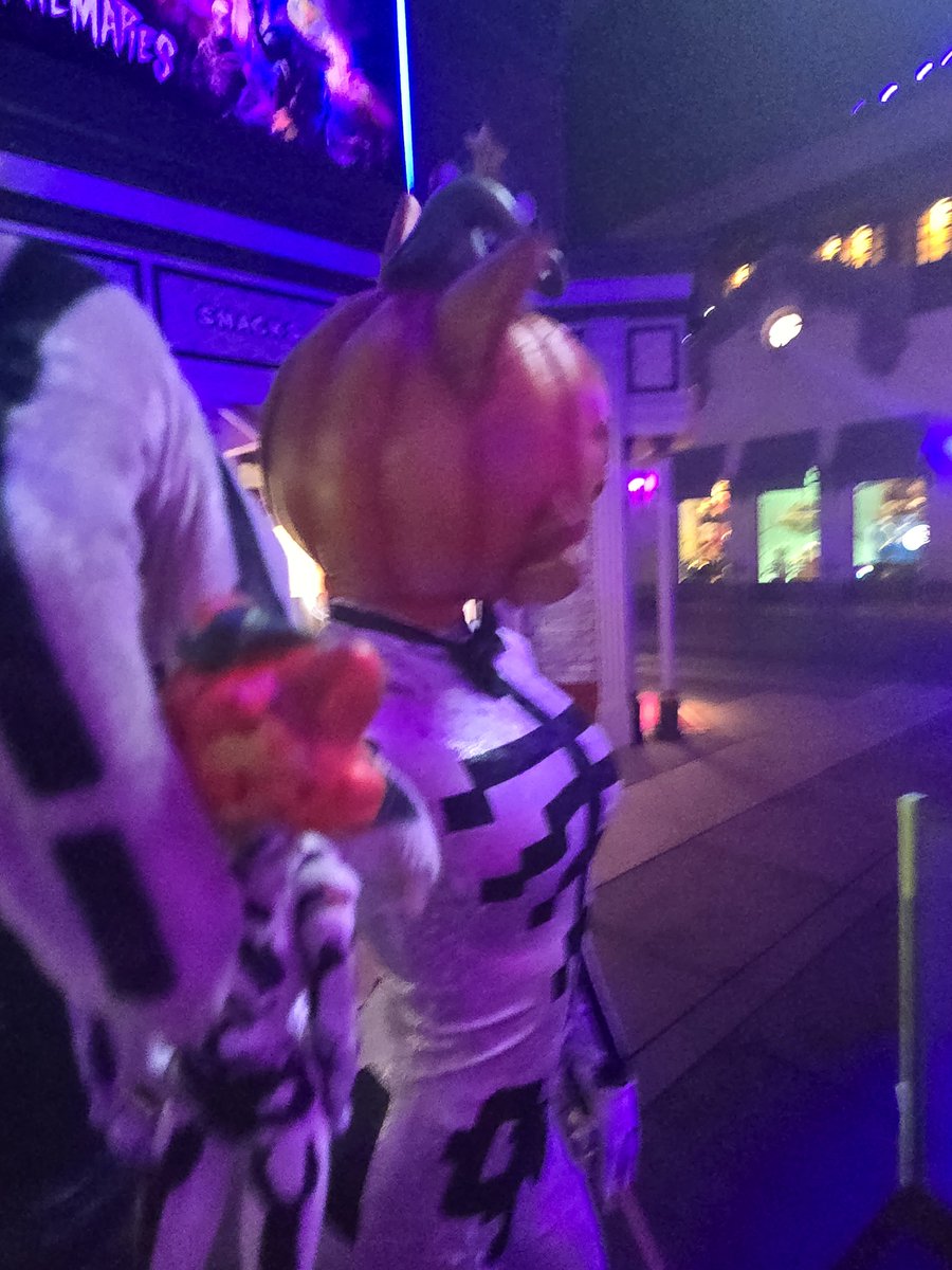 thecalyco's tweet photo. Spice met... mini spice? https://t.co/pCaEtvS6nE