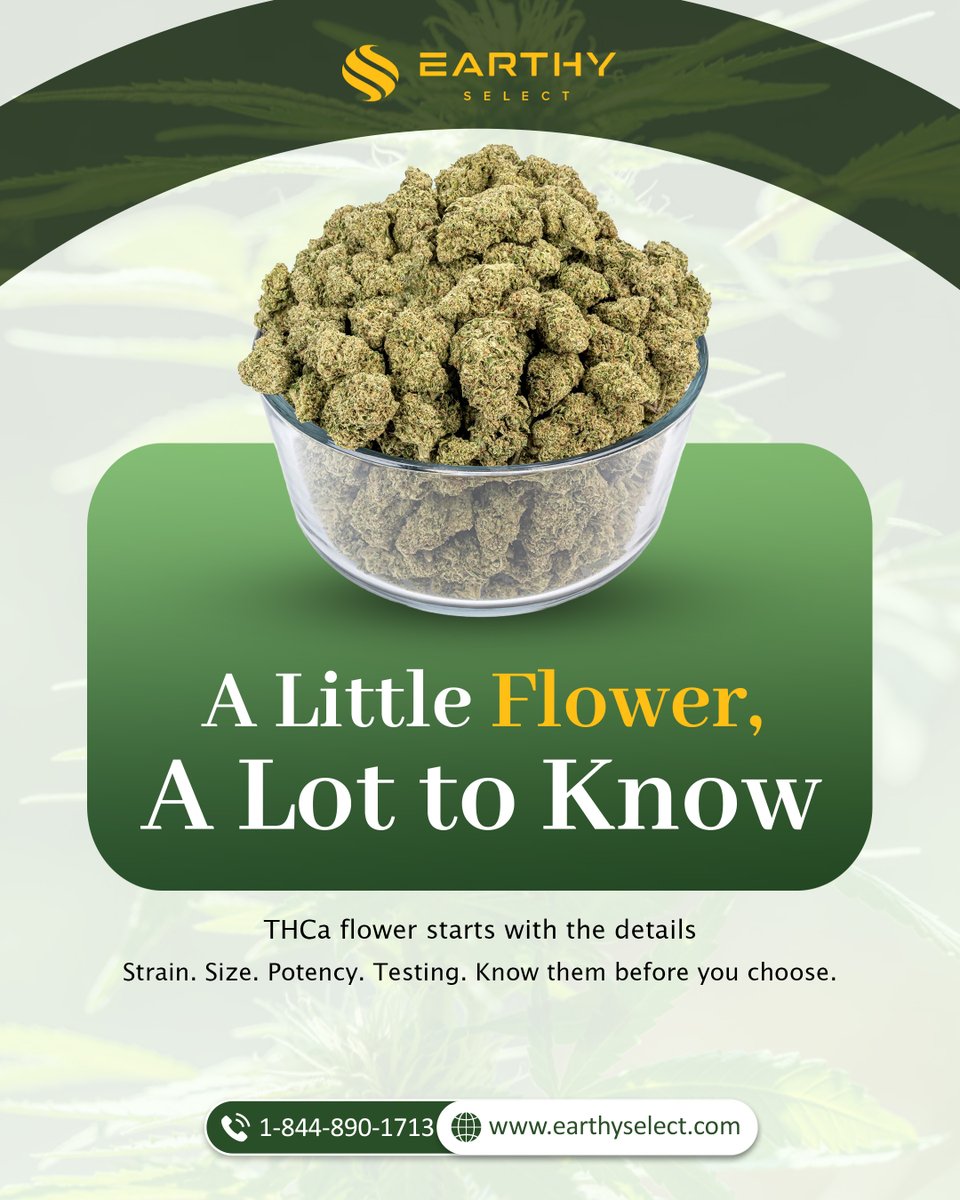 EarthySelect's tweet photo. Look beyond the bud. Know what’s inside.
Not all THCa flower tells the same story.
From the strain you pick to the way the flower is tested and presented, the details matter. #THCa #THCaFlower #THCaCannabis #Cannabinoids #CannabisEducation #CannabisSafety #LabTested https://t.co/L1quGFXw4I