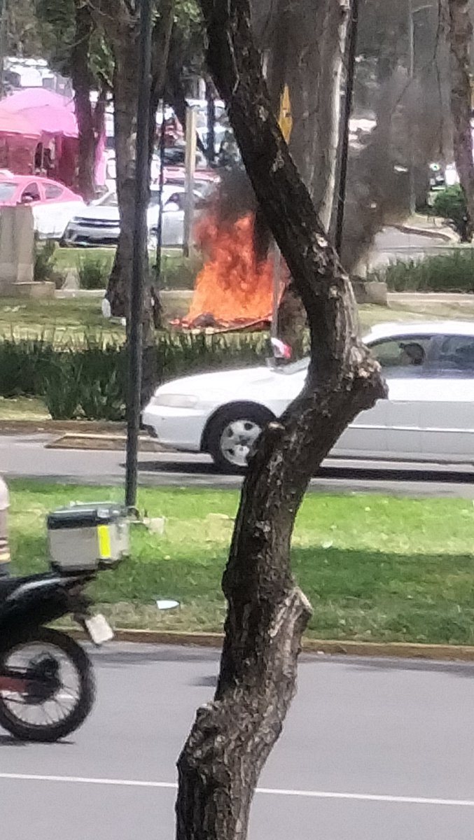 ZiraTenebrae's tweet photo. Se le comparte a las autoridades correspondientes para que actúen ya que en @TuAlcaldiaGAM justo frente a la estación del @MetrobusCDMX Peralvillo hay un incendio en este momento. https://t.co/ssirAMXEVQ