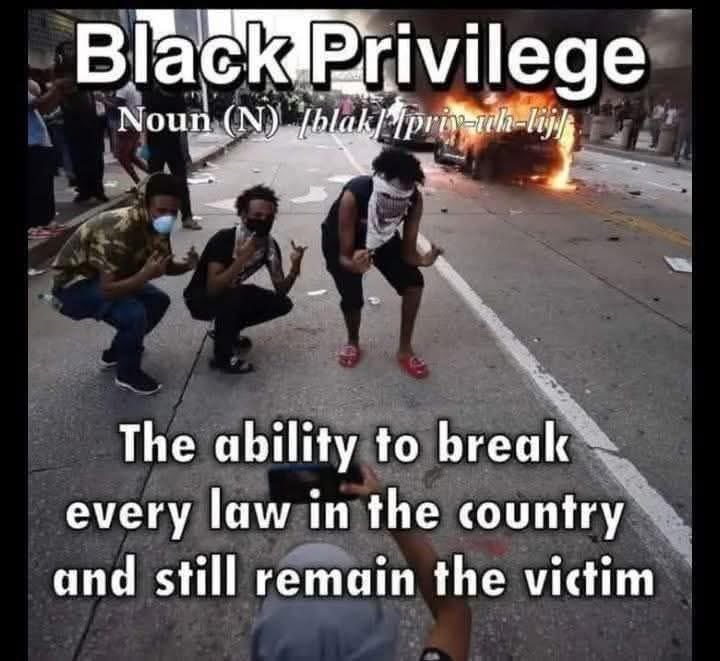FLFreed3ls's tweet photo. @Sassafrass_84 https://t.co/k7jblHP08P