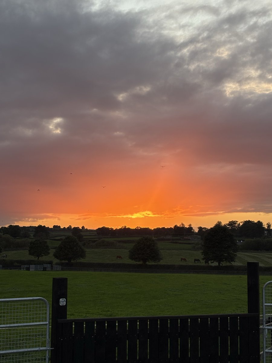 kevinblake2011's tweet photo. Fair sunset on Golden Farm this evening. 🙌 https://t.co/X02s7ELZeo