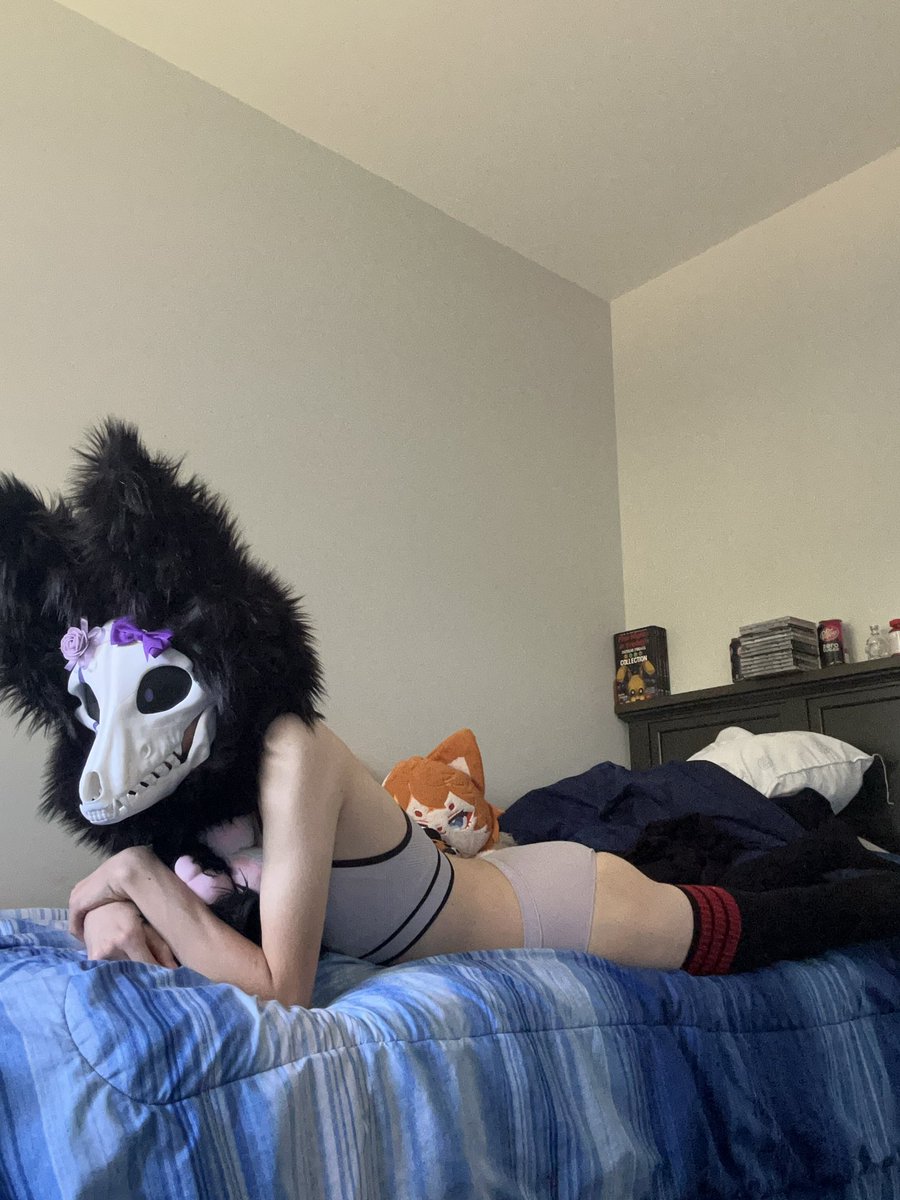 SkullDogFemBoi's tweet photo. Sexy skulldog femboy 💜🥰

#sexy #cutie #skulldog #femboy #furries https://t.co/ZPjUFOOLoy