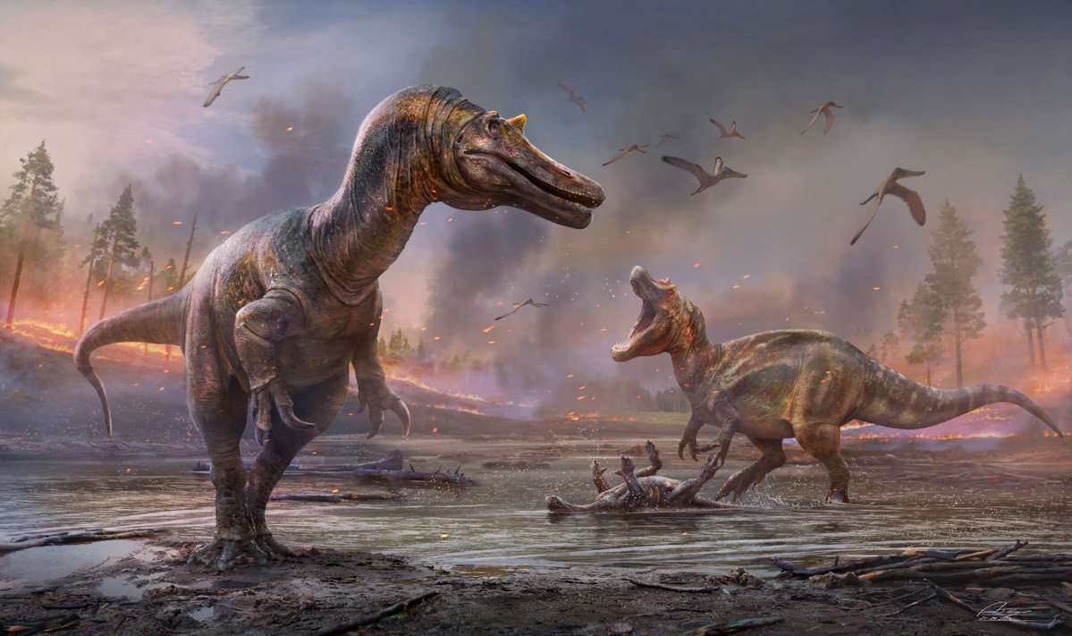 cornski's tweet photo. "i was born in 19-" https://t.co/nRuP76u3al