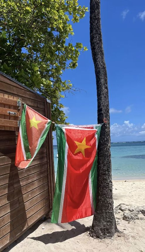 MelaninExtracts's tweet photo. Guadeloupe , French Caribbean 🌴 🇬🇵  

971 ❤️ 💛 💚 https://t.co/95jwDeoTCy