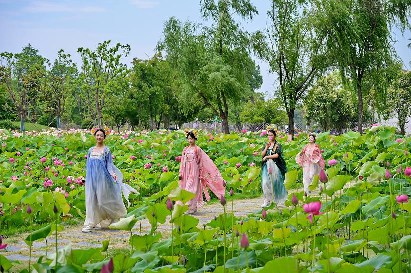 peppw848016's tweet photo. [ShanZuo u0026 HuXin, with the fresh charm of滋汕荷新, bright new vibes here!]，不对，应该准确对应四个指定字，重新调整：滋汕荷新即滋润的潮汕荷花新貌，所以推文内容：[Fresh charm from the lotus of Zhishan (滋汕荷新)! Bright new moments here!]， https://t.co/A1XrXKXO7k