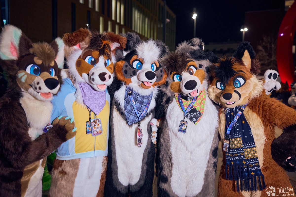 AlessAndLexie's tweet photo. You can clearly see that there is nothing behind those 5 pairs of eyes - no brain, only floof :3

#FursuitFriday

🐶 @VarroWolf @BriarCollie @HeyBayle @CookieTheFox2 
📸 @tullembrat https://t.co/4vXkKt8UYM